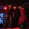 flamenco (1)